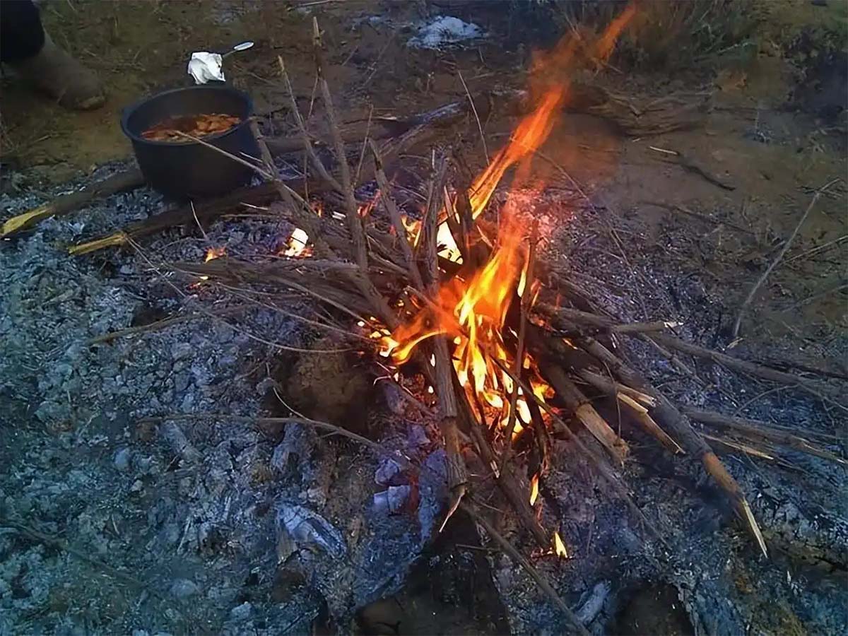 减肥最佳方案就是饿